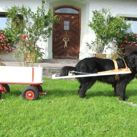 Haus Gollinger Apartman Anger
