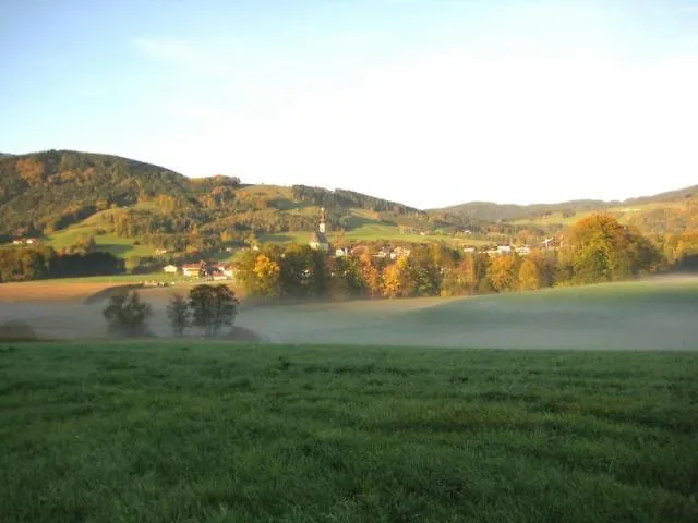 Haus Gollinger Apartment
